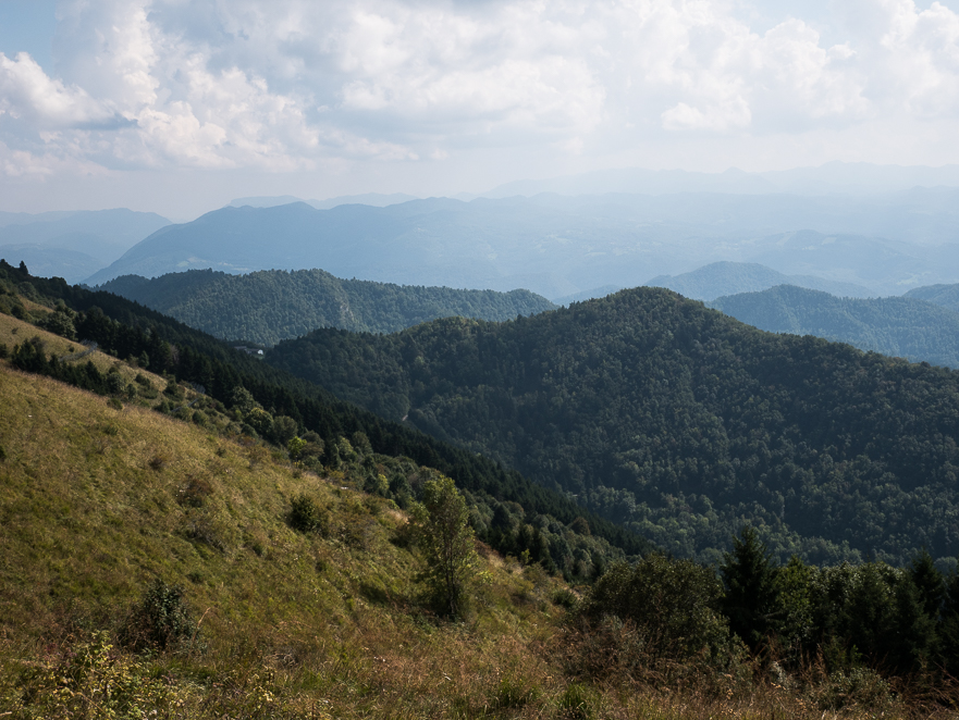 Grenzkammstraße mit Ausblick